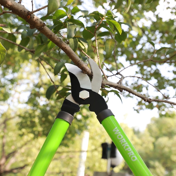 Prime-Line WORKPRO W115010 Limb and Branch Pruner Tool Set, Heat-Treated Steel 2 Piece - W151010