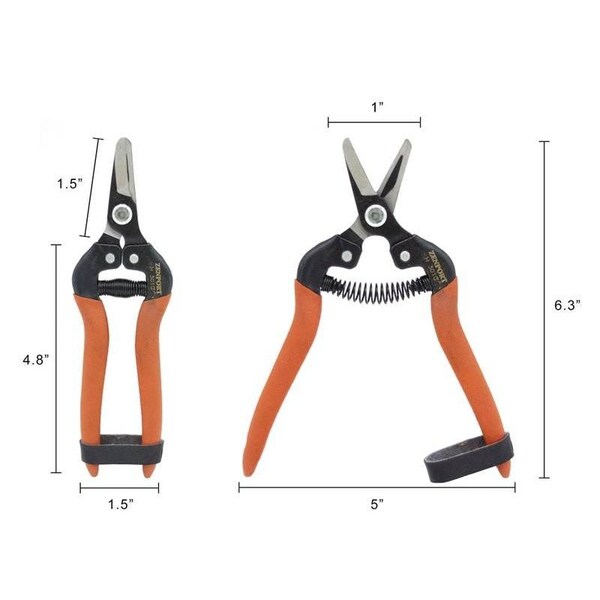 Zenport Harvest Shear, Short Curved Carbon Steel Blade, 12PK - H301C