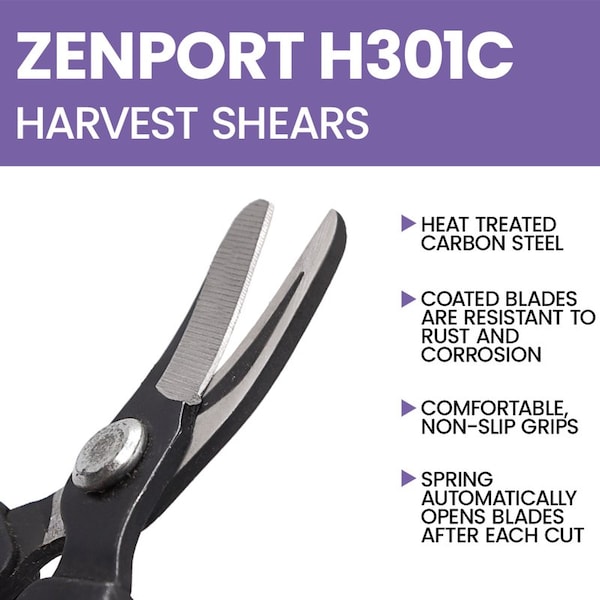 Zenport Harvest Shear, Short Curved Carbon Steel Blade, 12PK - H301C