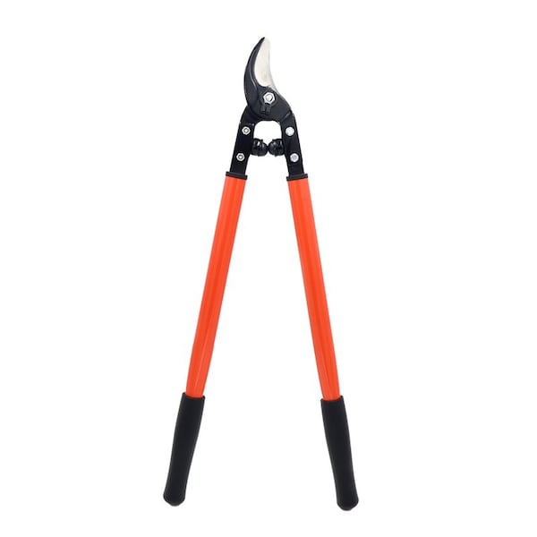 Zenport Professional Vine and Light Tree Lopper, 24-Inch, 12PK - MV150