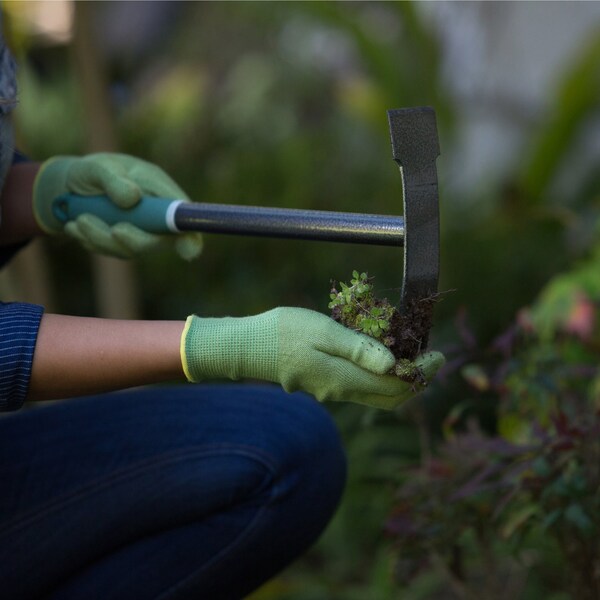 Lewis Bond 15 in. Steel Terra Weeder - 6705