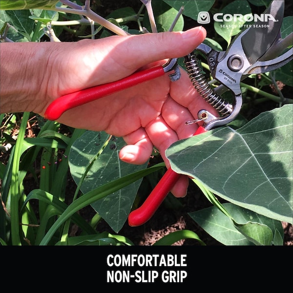 Corona Tools Corona Classic Cut 8 in. Steel Bypass Pruners - BP 3160