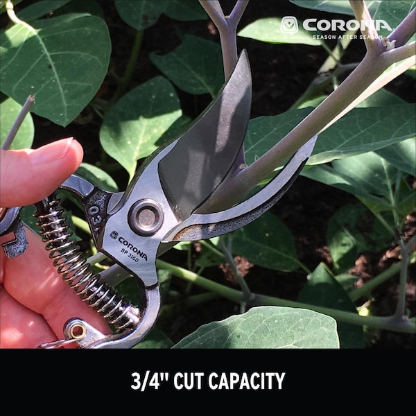 Corona Tools Corona Classic Cut 8 in. Steel Bypass Pruners - BP 3160