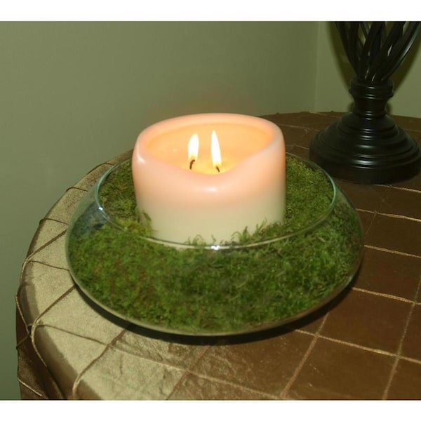 Mosser Lee Mosser Lee Organic Green Sheet Moss 325 sq in - ML0460