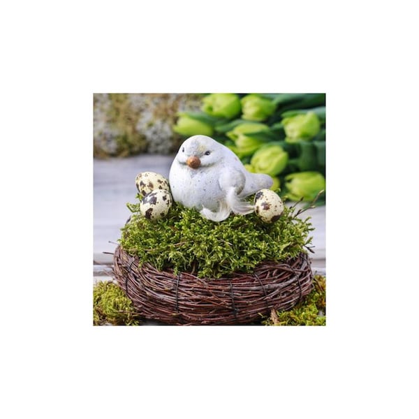Mosser Lee Mosser Lee Organic Green Sheet Moss 325 sq in - ML0460