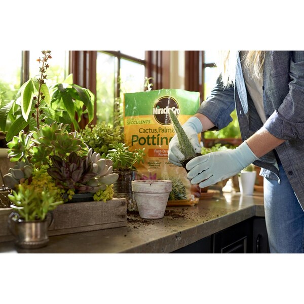 Miracle-Gro Miracle-Gro Cacti, Citrus, and Palm Potting Mix 8 qt - 72078430