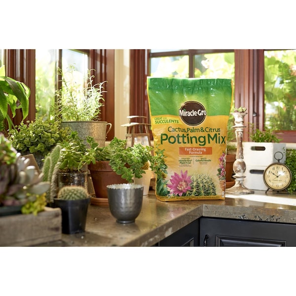 Miracle-Gro Miracle-Gro Cacti, Citrus, and Palm Potting Mix 8 qt - 72078430