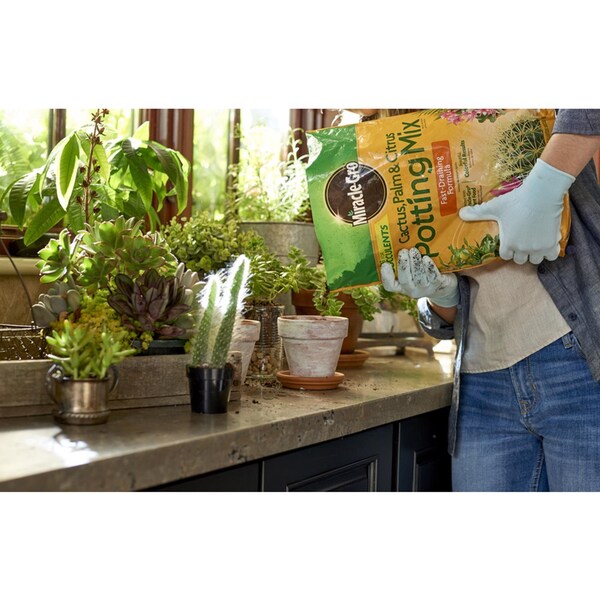 Miracle-Gro Miracle-Gro Cacti, Citrus, and Palm Potting Mix 8 qt - 72078430