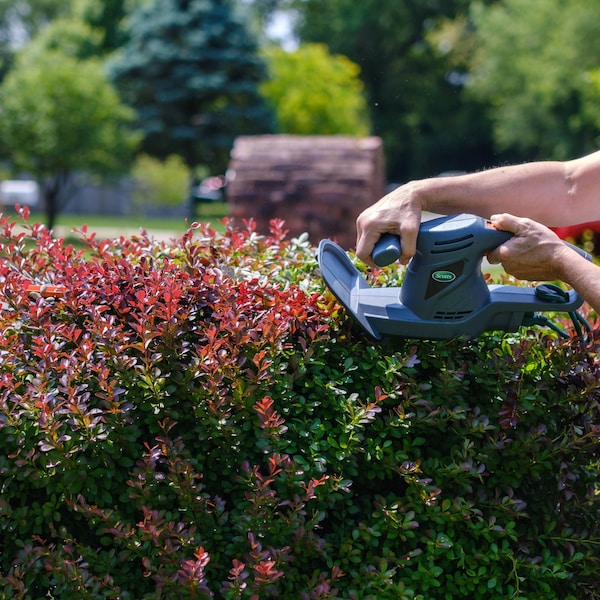 Scotts 20 in. 3.2 Amp Electric Hedge Trimmer - HT10020S