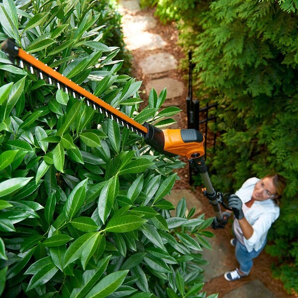 Worx 20V Power Share 2-in-1 20 in. Cordless Hedge Trimmer, Tool Only - WG252.9