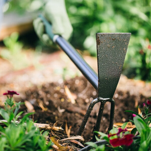 Lewis Bond 3 Tine Steel Hand Tiller 15 in. Steel Handle - 6703