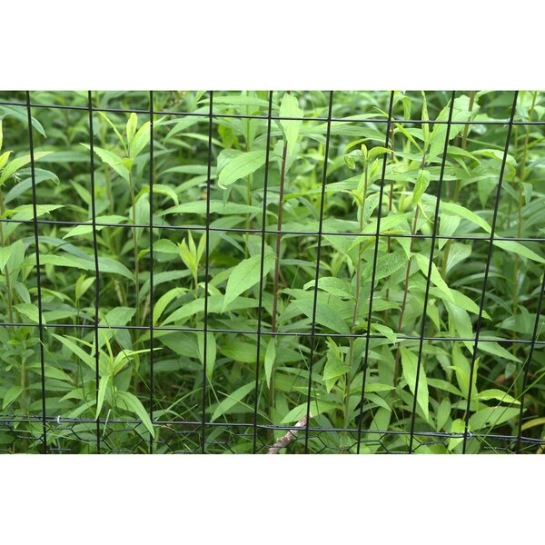 Trident Fence Welded Wire Fence, Black PVC Coated, 14ga, 6x50ft, 2x4in Mesh - W1465024B