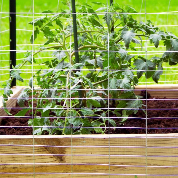 Garden Zone Garden Craft 40 in. H X 50 ft. L Galvanized Steel Welded Wire Fence - 344050