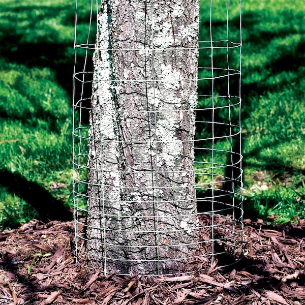 Garden Zone Garden Craft 40 in. H X 50 ft. L Galvanized Steel Welded Wire Fence - 344050