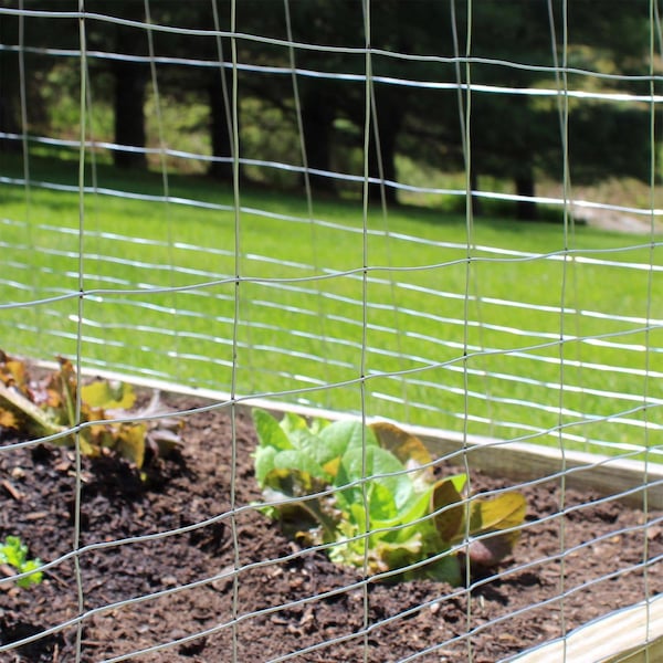 Garden Zone Garden Craft 40 in. H X 50 ft. L Galvanized Steel Welded Wire Fence - 344050
