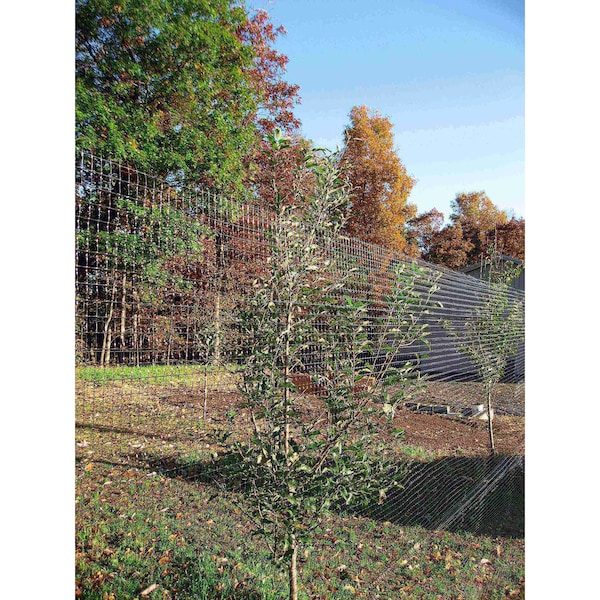 Zoro Select Deer Fence, 7 FT. X 100 FT., Black, Mesh Size 0.63"X0.75" - 2A040006