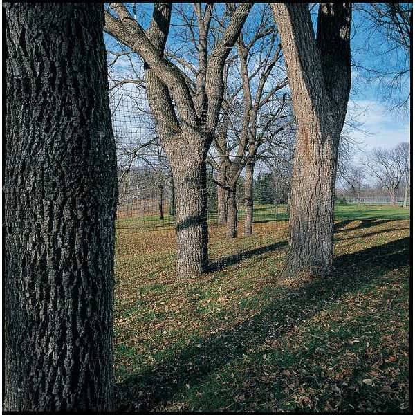 Zoro Select Deer Fence, 7 FT. X 100 FT., Black, Mesh Size 0.63"X0.75" - 2A040006