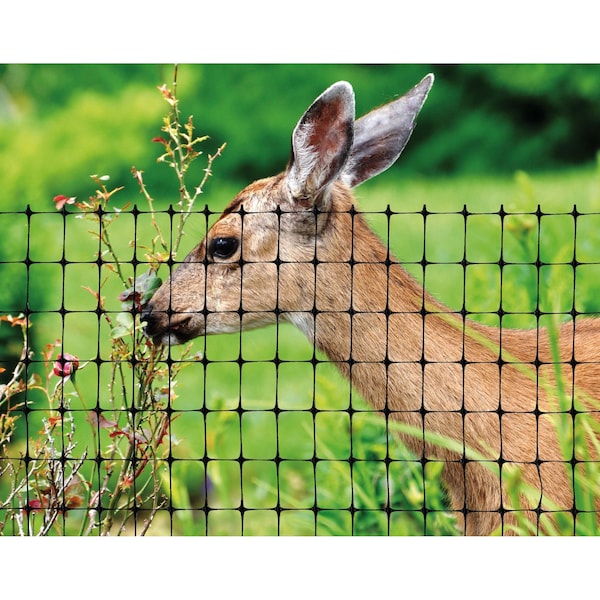 Zoro Select Deer Fence, 7 FT. X 100 FT., Black, Mesh Size 0.63"X0.75" - 2A040006