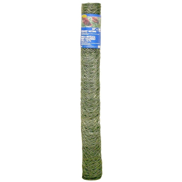 Mat 60in. x 150ft. 2in. Mesh Galvanized Poultry Netting - MA310024