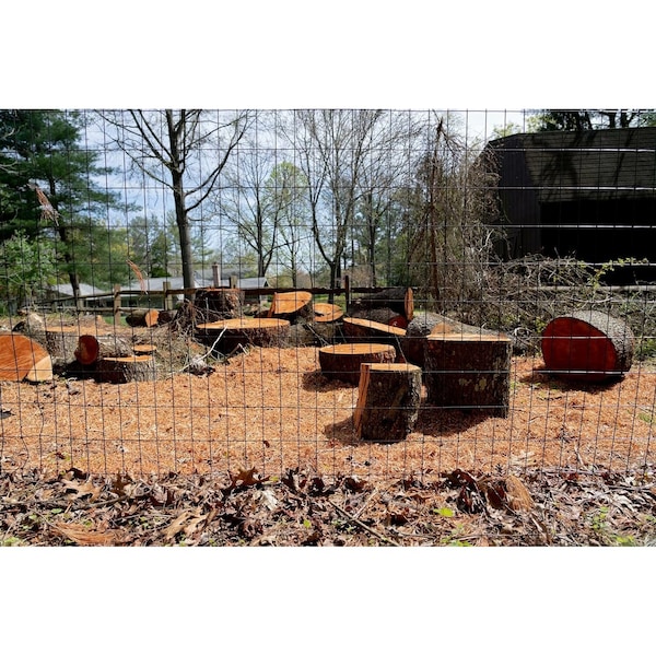 Trident Fence Welded Wire Fence, Black PVC Coated, 14ga, 7x100ft, 2x3in Mesh - W14710023B