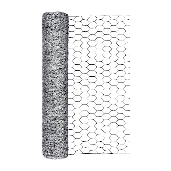 Garden Zone Garden Craft 24 in. H X 50 ft. L Galvanized Steel Poultry Netting 1 in. - 162450