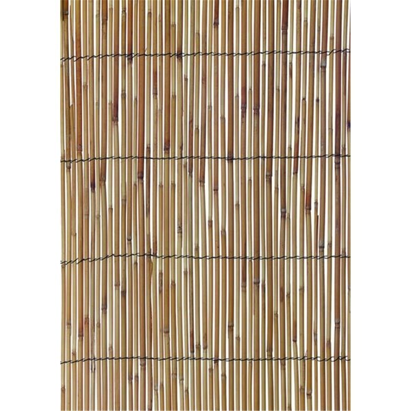 Cuadrado 13 ft. x 6 ft. 6 in. Reed Fencing, Natural - CU2688418