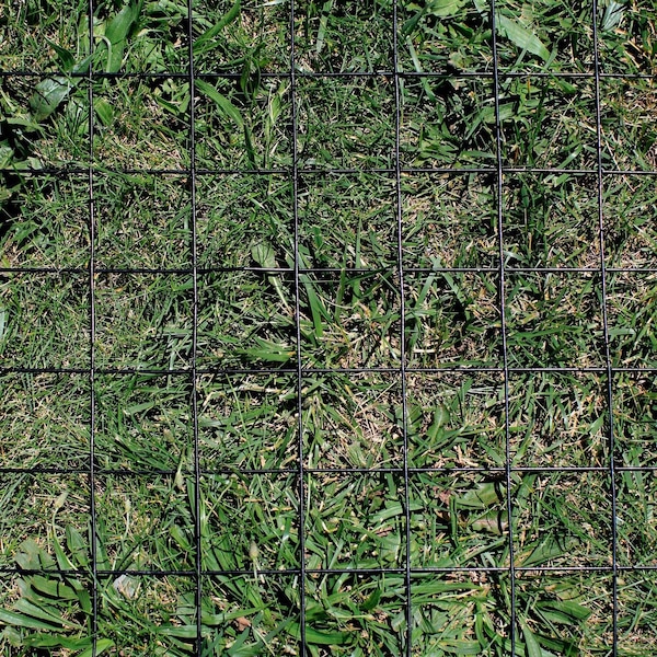 Trident Fence Welded Wire Fence, Black PVC Coated, 12.5ga, 5x100ft, 4x4in Mesh - W12510044B