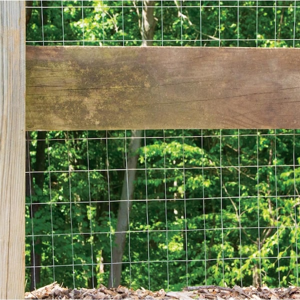 Garden Zone Garden Craft 36 in. H X 50 ft. L Steel Welded Wire Fence 2x3 in. - 033650