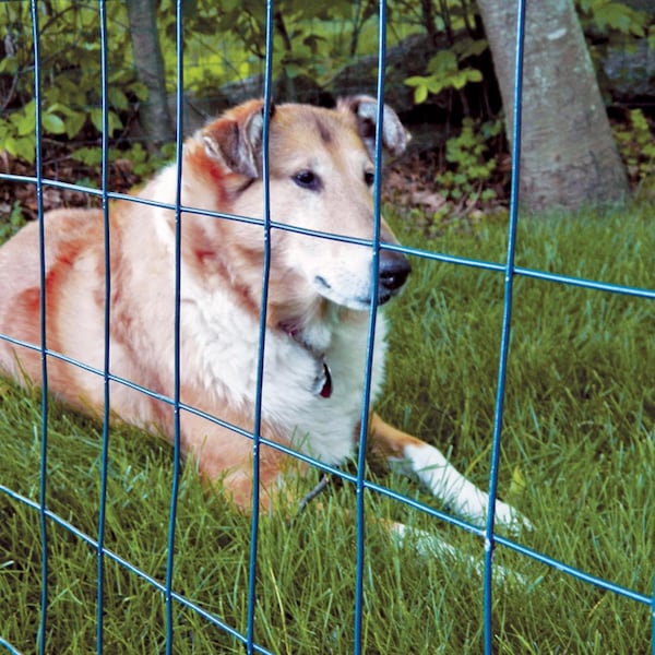 Garden Zone Garden Craft 48 in. H X 50 ft. L Steel Welded Wire Fence 2x3 in. - 024850