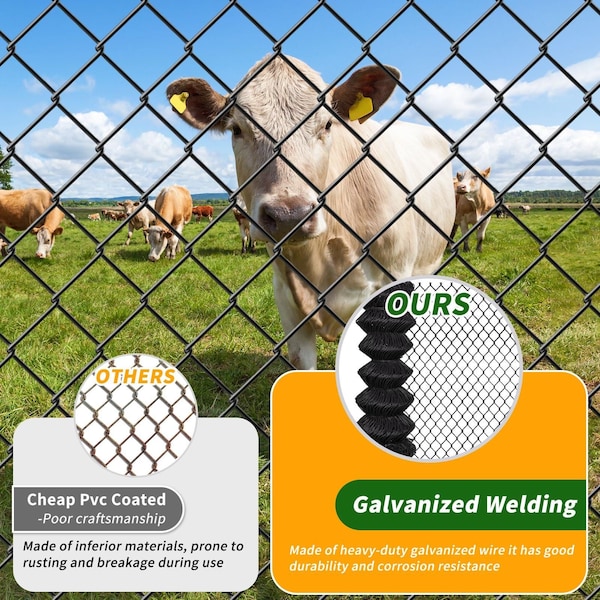 Edendirect Heavy-Duty 6 ft. x 50 ft. Galvanized Steel Chain Link Fence for Garden, Ranch & Security Protection - ED-X0043YVOAP