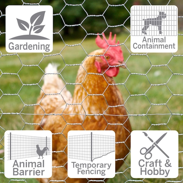 Garden Craft 36 in. H X 150 ft. L Galvanized Steel Poultry Netting 1 in. - 163615