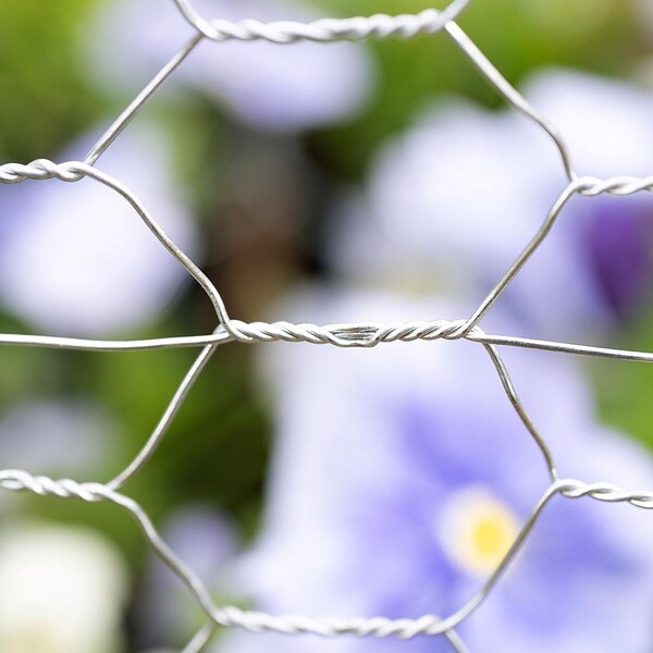 Garden Craft 36 in. H X 150 ft. L Galvanized Steel Poultry Netting 1 in. - 163615
