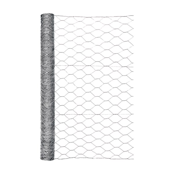 Garden Zone Garden Craft 36 in. H X 50 ft. L Galvanized Steel Poultry Netting 2 in. - 183650