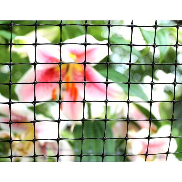 Tenax Tenax 4 ft. H X 50 ft. L Polypropylene Netting .75 x 1 in. - 2A090059