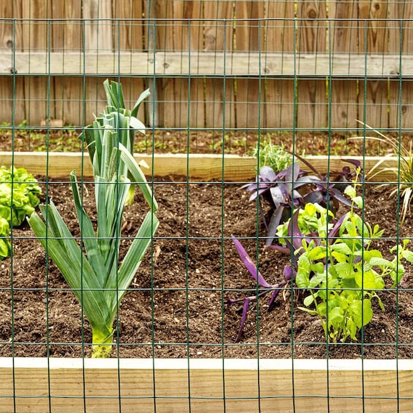 Garden Zone Garden Craft 24 in. H X 50 ft. L Steel Welded Wire Fence 2x3 in. - 022450