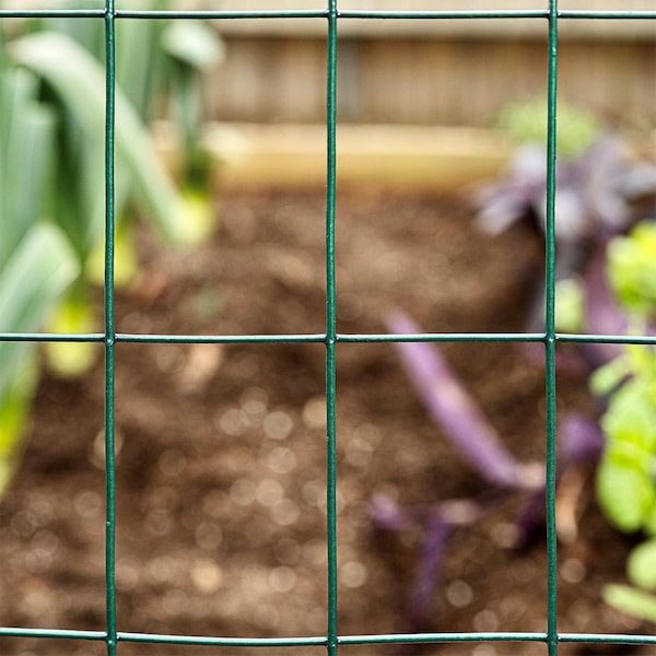 Garden Zone Garden Craft 24 in. H X 50 ft. L Steel Welded Wire Fence 2x3 in. - 022450