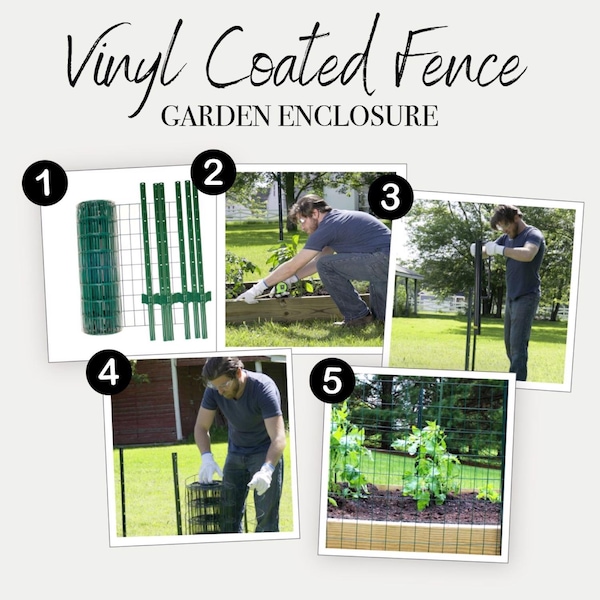 Garden Zone Garden Craft 24 in. H X 50 ft. L Steel Welded Wire Fence 2x3 in. - 022450