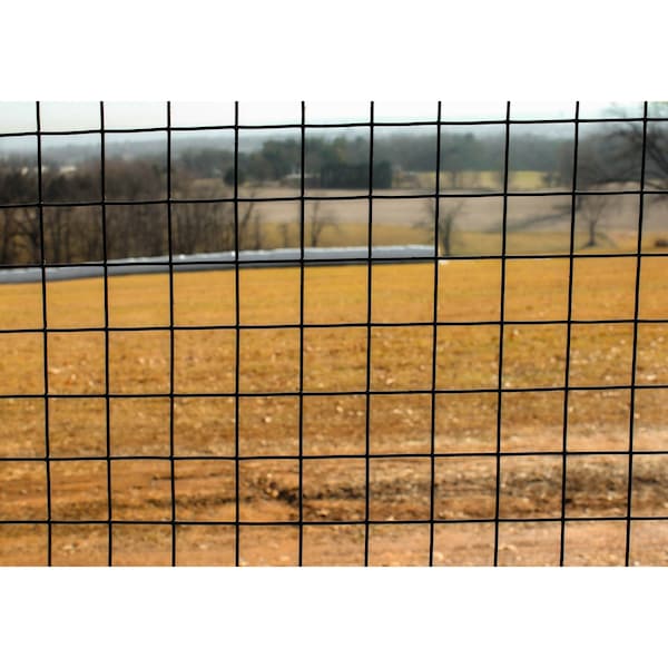 Trident Fence Welded Wire Fence, Black PVC Coated, 19ga, 6x100ft, 1x1in Mesh - W19610011B