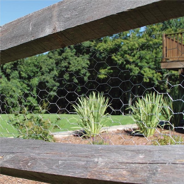 Garden Zone Garden Craft 24 in. H X 25 ft. L Galvanized Steel Poultry Netting 1 in. - 162425