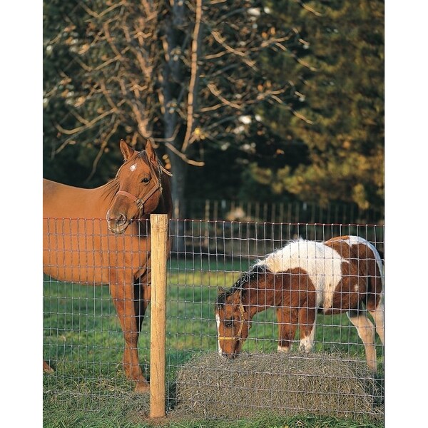 Red Brand Square Deal Tradition Horse Fence, 100 ft L, 48 in H, Non-Climb Mesh, 2 x 4 in Mesh, 12.5 ga Gauge - 70310