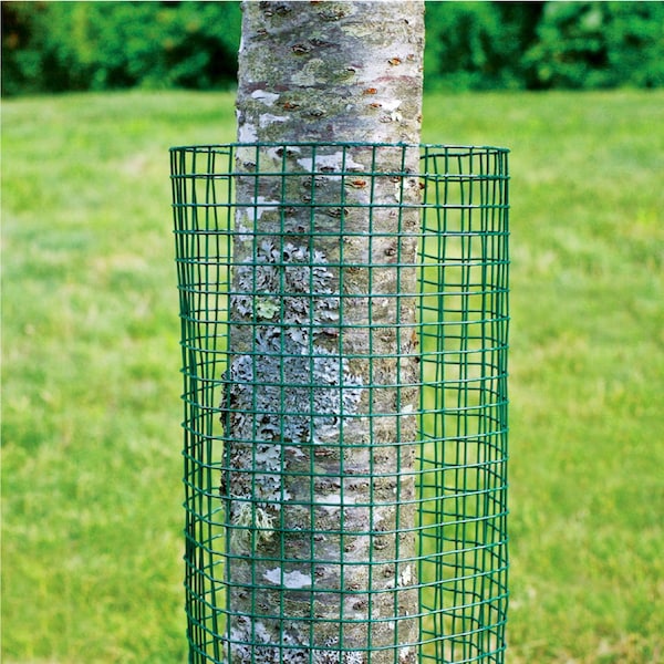 Garden Zone Garden Craft 36 in. H X 5 ft. L Steel Hardware Cloth 1/2 in. - 273605