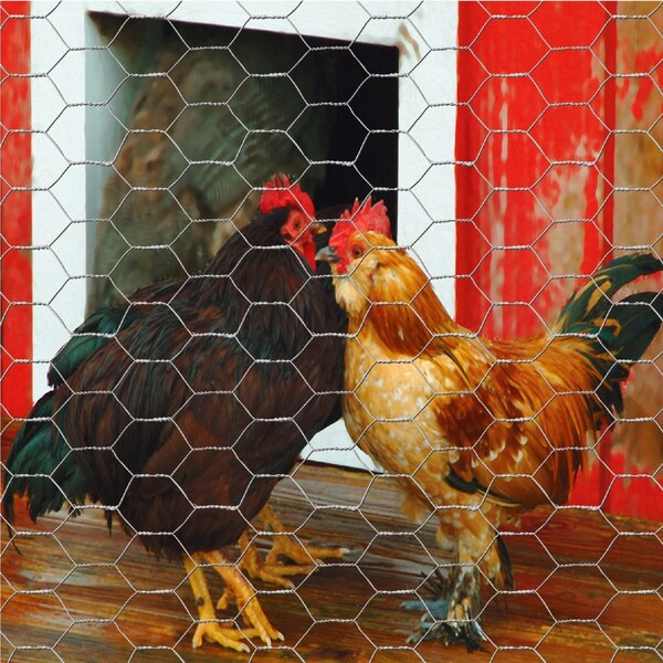 Garden Craft 72 in. H X 150 ft. L Galvanized Steel Poultry Netting 1 in. - 167215