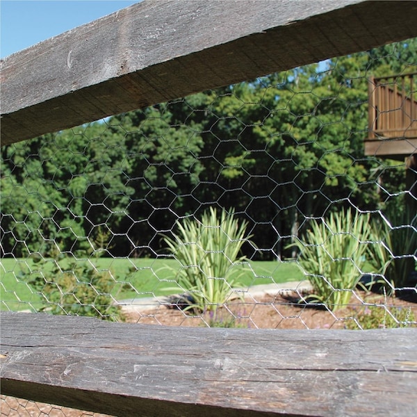 Garden Zone Garden Craft 48 in. H X 50 ft. L Galvanized Steel Poultry Netting 1 in. - 164850