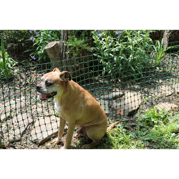 Tenax Tenax 3  H X 25 ft. L Polypropylene Garden Fencing 2 x 2 in. - 2A140091