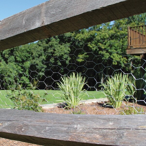Garden Zone Garden Craft 24 in. H X 150 ft. L Galvanized Steel Poultry Netting 1 in. - 162415