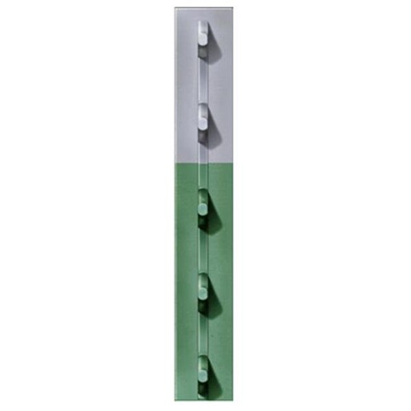 Book Publishing Co FRPT12500056G4N 1.25 in. x 5 ft. 6 in. Green Studded T-Post; Pack Of 5 - GR137172
