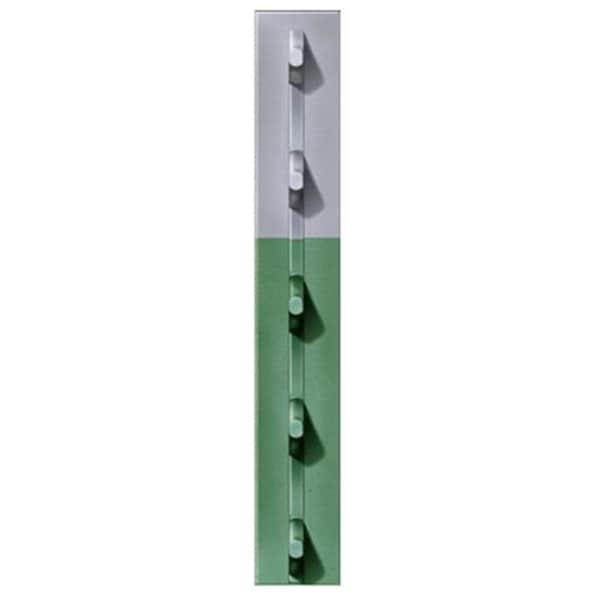 Book Publishing Co FRPT13300056G2N 1.33 in. x 5 ft. 6 in. Green Studded T-Post; Pack Of 5 - GR1636076