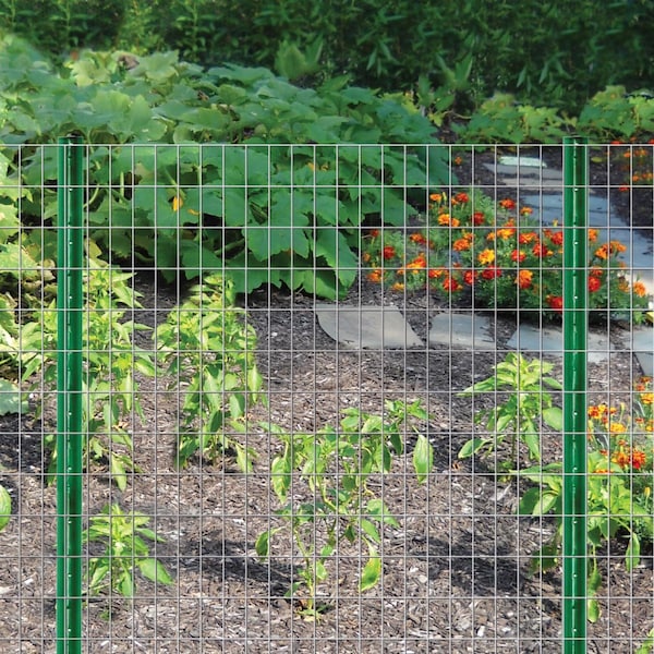 Garden Zone Garden Craft 48 in. H X 50 ft. L Steel Welded Wire Fence 2x3 in. - 034850