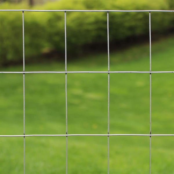 Garden Zone Garden Craft 48 in. H X 50 ft. L Steel Welded Wire Fence 2x3 in. - 034850