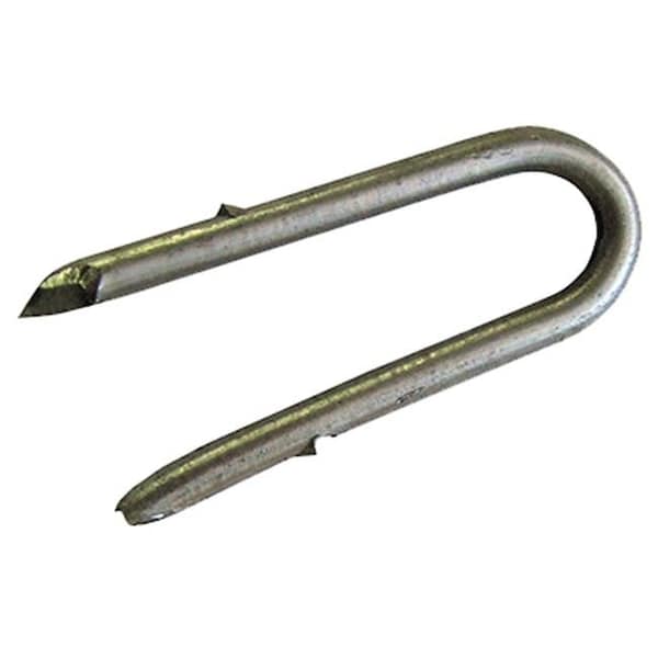 Dare Products Dare Products 1692 50 Pack 2 In. 9 Gauge Galvanized Staples - 192040